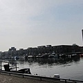 1976795542.jpg