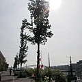 1976795544.jpg