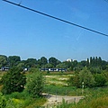 1976795755(1).jpg