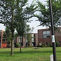 1976795550.jpg