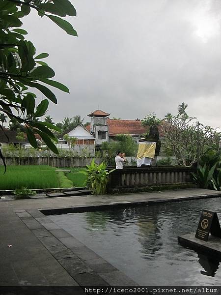 2017_07 Bali 937.jpg