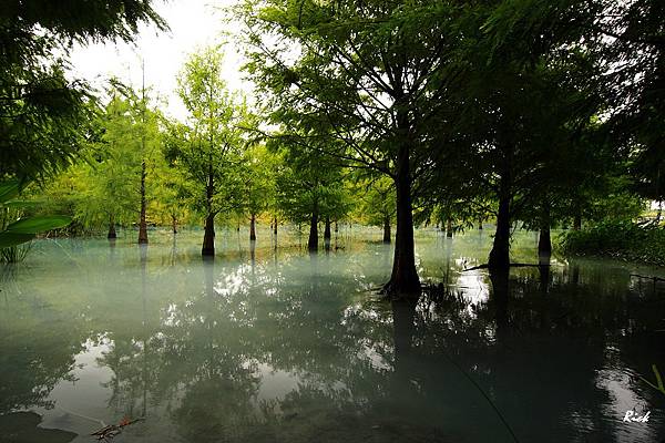 雲山水