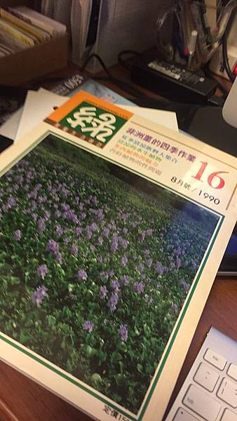 IMG_4223.JPG IMG_4223.JPG