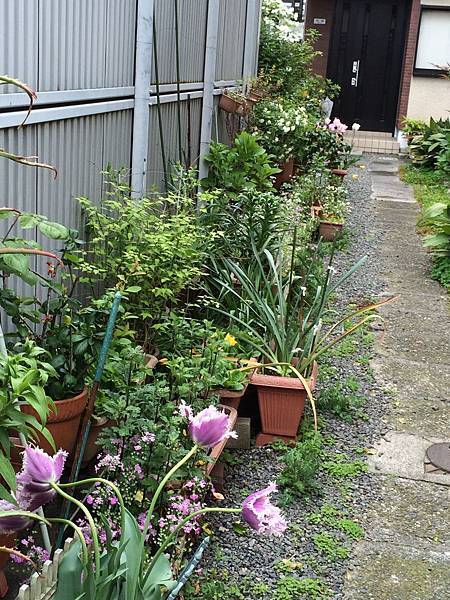 IMG_4904.jpg IMG_4904.jpg