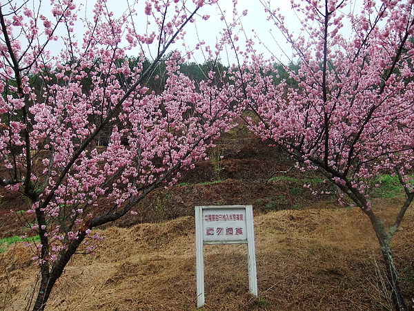 DSCF4876.JPG