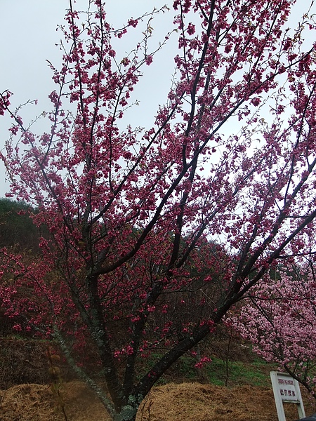 DSCF4873.JPG