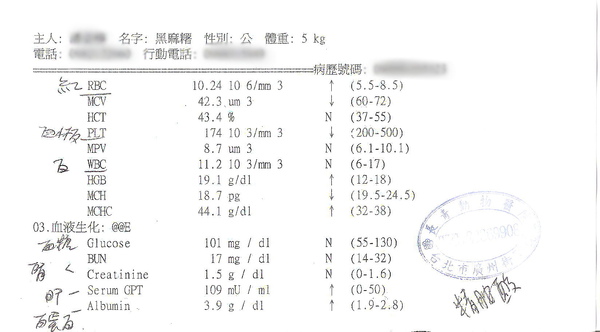 麻糬血檢