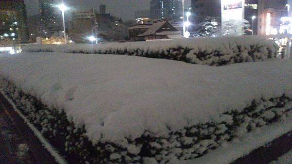 IMG_20220106_183032.jpg IMG_20220106_183032.jpg