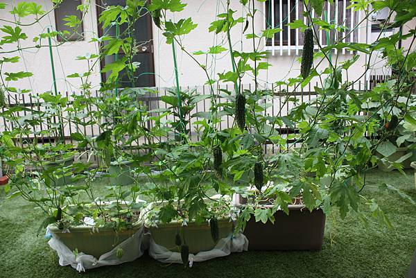 IMG_1388.JPG IMG_1388.JPG