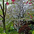 20090404TNY_0045-1.jpg