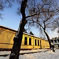 20100305TNY_0242-1.jpg