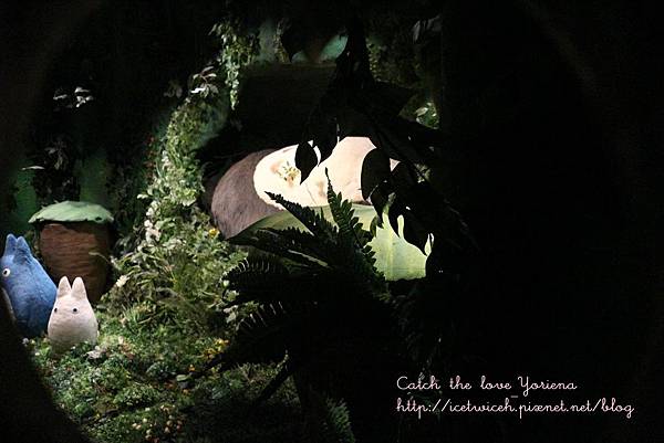 IMG_0203.JPG IMG_0203.JPG