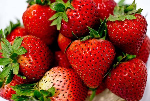草莓f1024