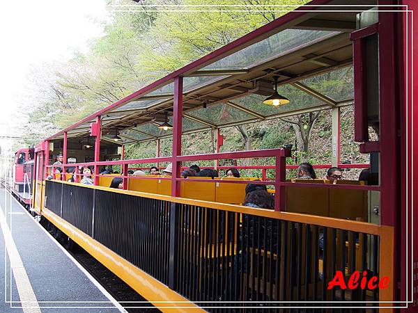 嵐山渡月橋_龜岡小火車_瑳峨野竹林13.jpg