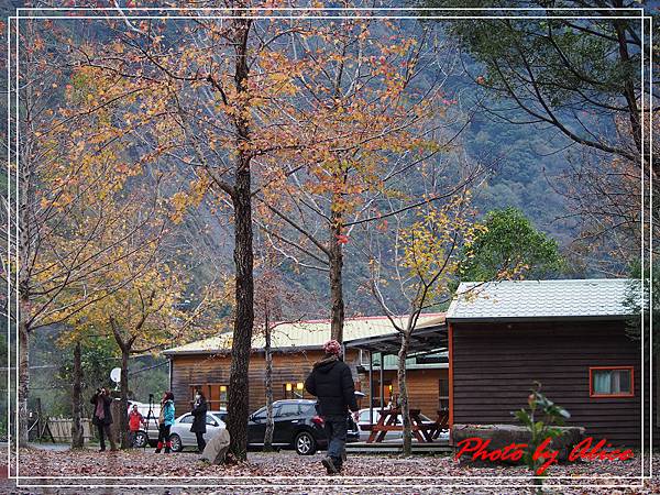 玉峰部落美樹營地08.jpg