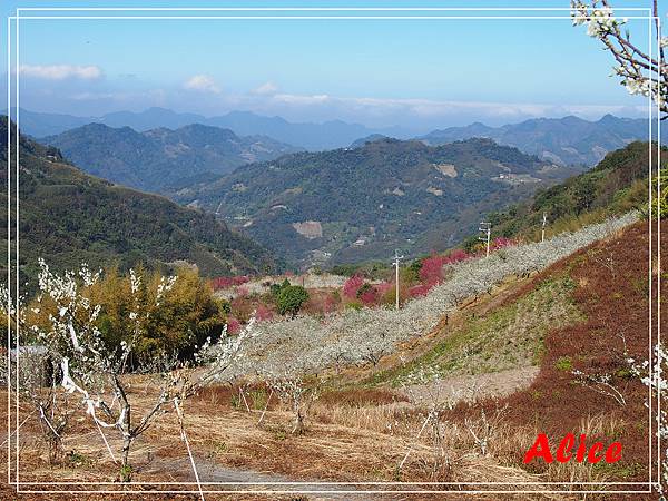 熊佧山附近及腦寮庄途中06.jpg