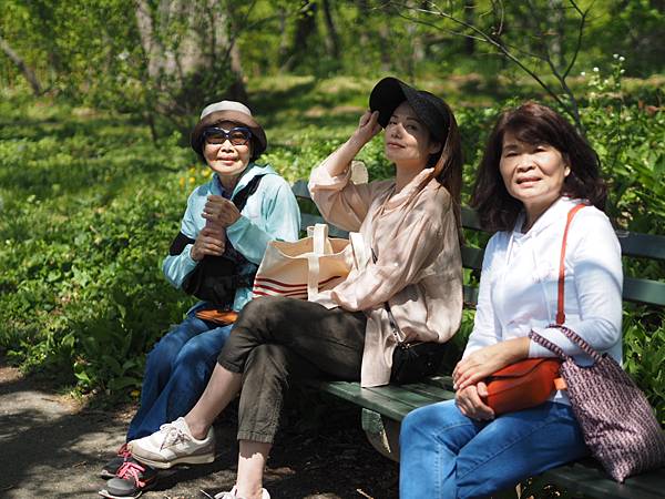 後疫情重訪美國_波士頓春遊哈佛阿諾植物園_昆西巿場龍蝦卷炸魚