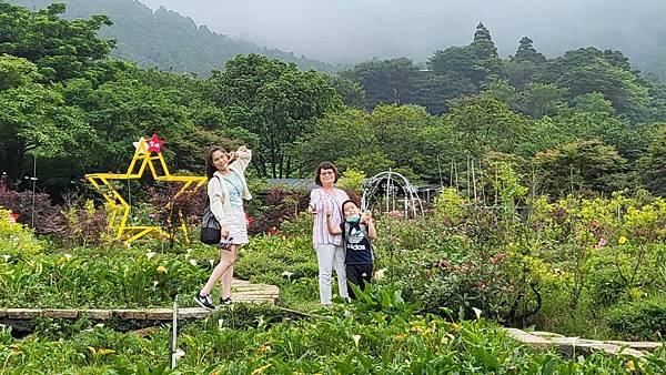 詩情花雨六月陽明山