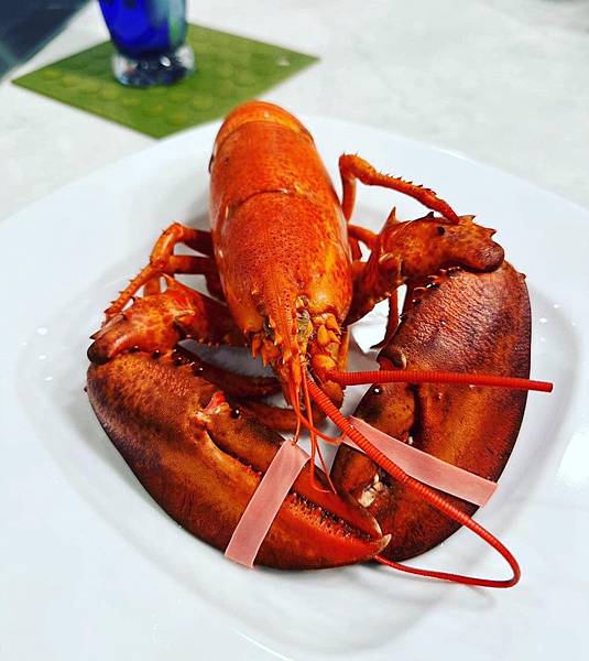 後疫情重訪美國_波士頓龍蝦🦞歡慶母親節💖05.14