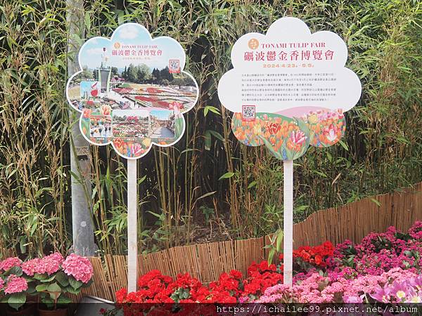 






《2024士林官邸鬱金香展〉花敍·花絮