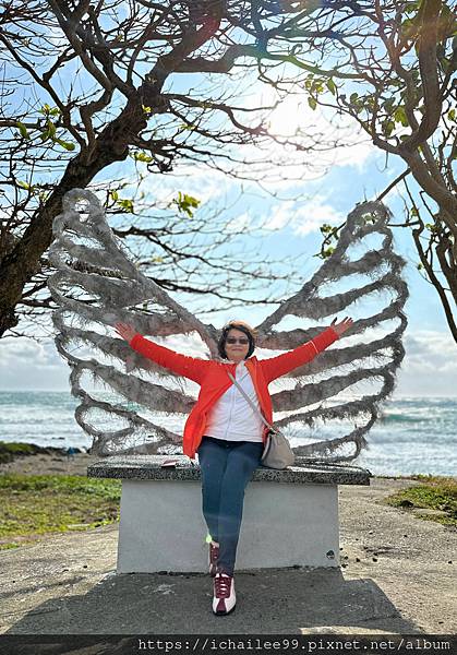 《南台灣放風4日遊》 #佳鵝公路海岸&船帆石沙灘美不勝收#鵝