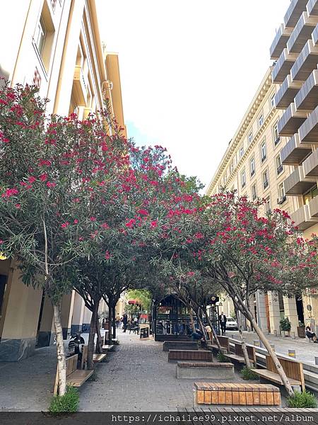 《希臘之旅》 #雅典_憲法廣場_無名烈士墓碑_名牌街_千年古