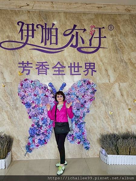 《2025北疆大環線17日自由行》#伊帕爾汗薰衣草光觀園景區