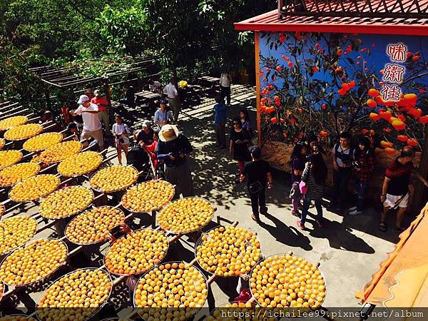 《黃金柿海*味衛佳》#封存九降風的柿子軟Q甜美 #奉上⌈柿葉