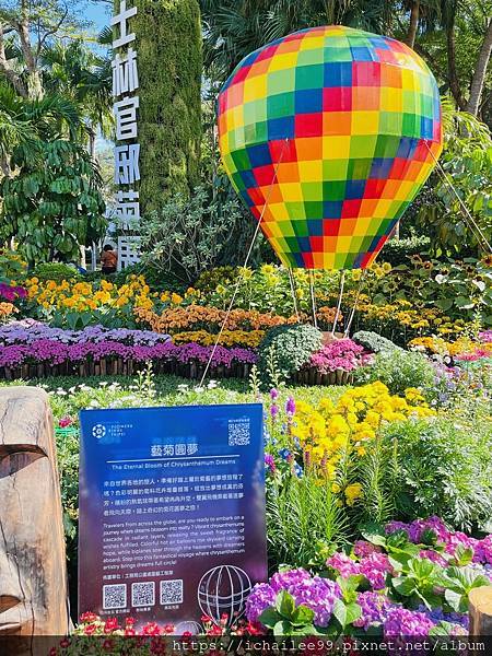 《2025士林官邸菊展》#\^o^/藝菊圓夢\^o^/ (續