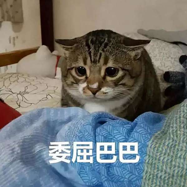 分享 梗圖 貓咪梗圖分享 ゚ ゚ 栖無 痞客邦 分享 梗圖 貓咪梗圖分享 ゚ ゚ 栖無 痞客邦