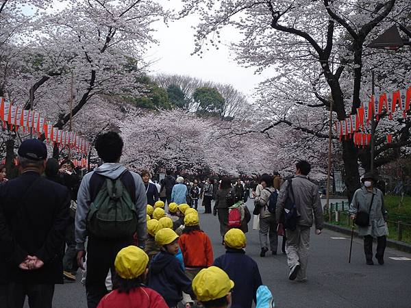 黃色帽子的幼稚園小朋友