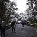 於是依照&quot;如果下雪就去金閣寺&quot;的計畫  岀發!