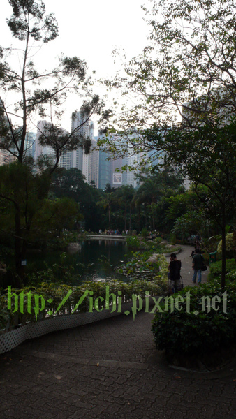 香港公園 拿相機的很多 香港公園 拿相機的很多