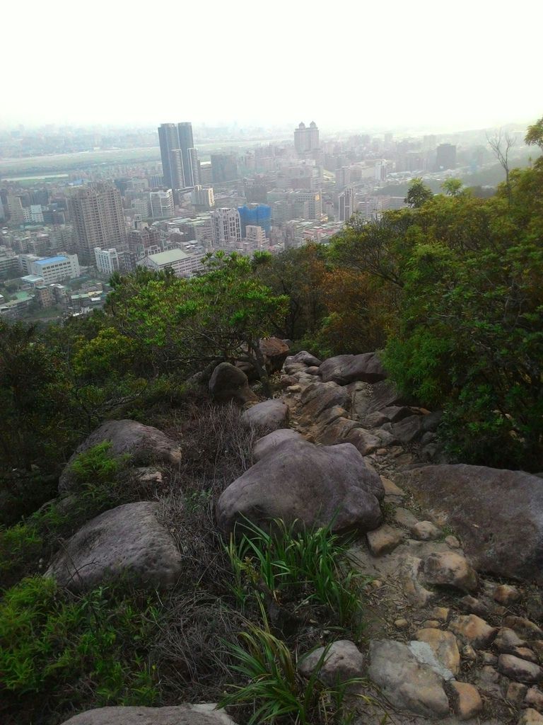 【台北景點】金面山親山步道‧大台北夜景盡收眼底│俯瞰大台北夜