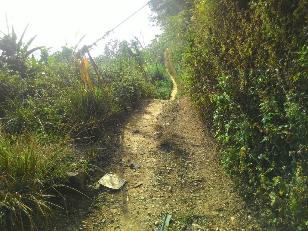 【嘉義景點】太平雲梯全台海拔最高最長的景觀吊橋│嘉義山區新地