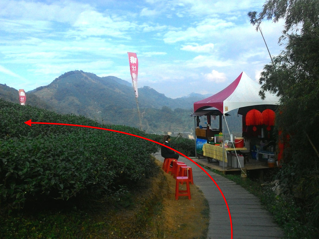 【嘉義景點】太平雲梯全台海拔最高最長的景觀吊橋│嘉義山區新地