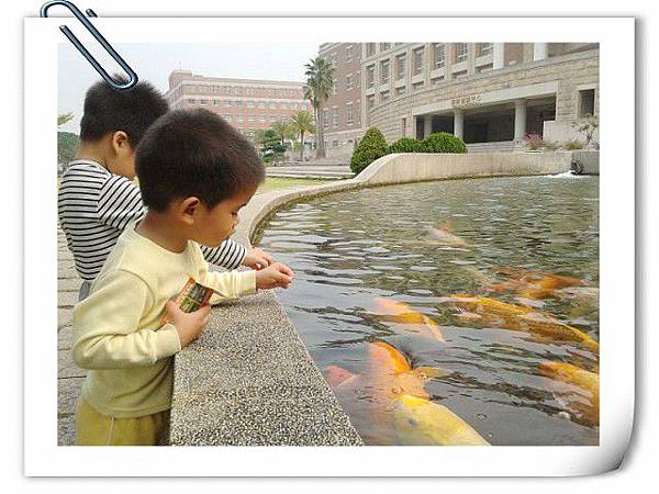 2012-04 亞大餵魚趣