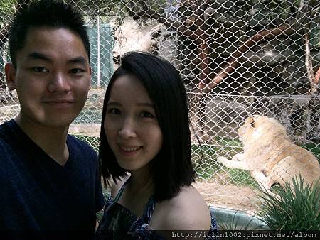 IMG_3521.JPG IMG_3521.JPG