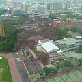 080610-12面向成大房間當然要拍一下成大校園.JPG