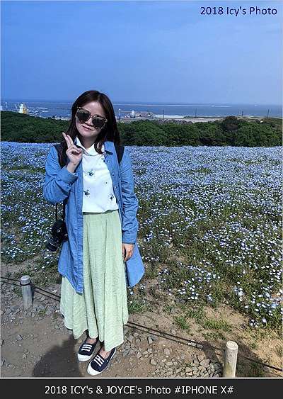 日本花見之旅 國營日立 常陸 海濱公園 粉蝶花海 夜宿幕張apa Find My Way 痞客邦