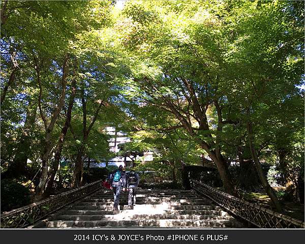京都紅葉 龍安寺 不見秋色楓紅卻見綠意滿溢 冰冰的手札 痞客邦 京都紅葉 龍安寺 不見秋色楓紅卻見綠意滿溢 冰冰的手札 痞客邦