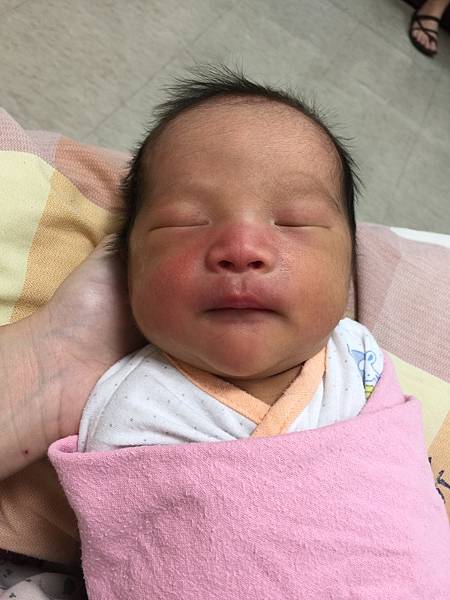 IMG_7005.JPG IMG_7005.JPG