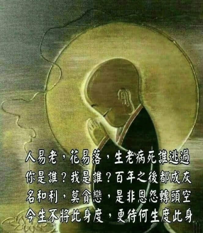 今生不將此生度，更待何生度此生｜梅花問路