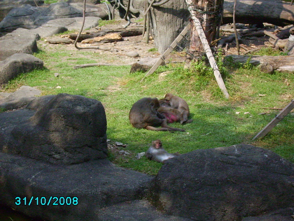 971031_069.JPG