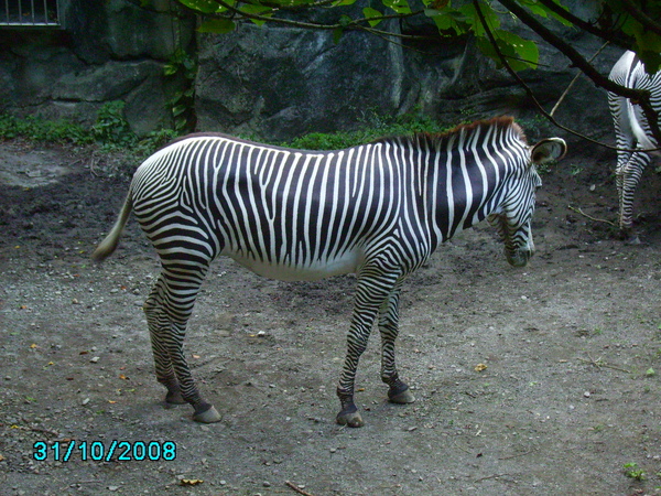 971031_120.JPG