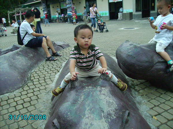 971031_155.JPG