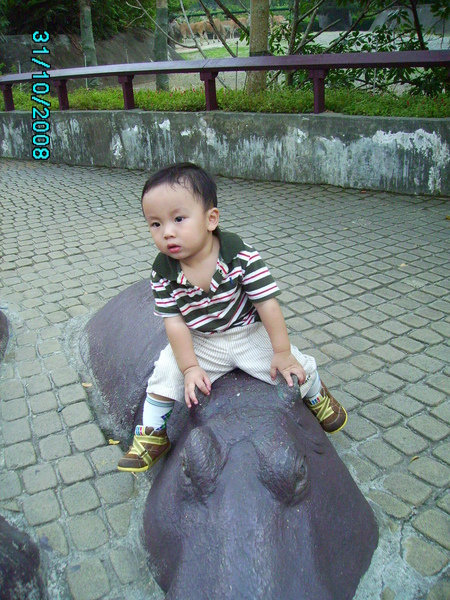971031_168.JPG