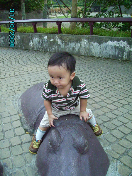 971031_171.JPG