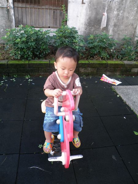 PB060106.JPG