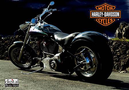 Harley-Davidson